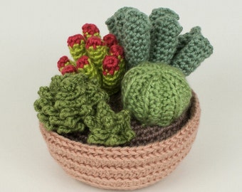 Succulent Collection 1, four realistic potted plant CROCHET PATTERNS digital PDF file download