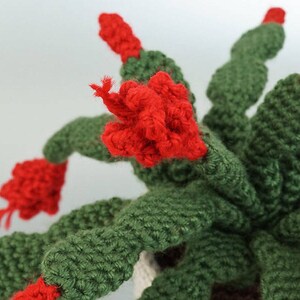 Christmas Cactus amigurumi potted plant CROCHET PATTERN digital PDF file download image 4