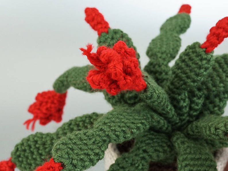 Christmas Cactus amigurumi potted plant CROCHET PATTERN digital PDF file download image 4