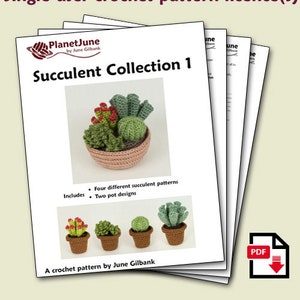 Succulent Collections 1 and 2, eight realistic potted plant CROCHET PATTERNS digital PDF file download image 2