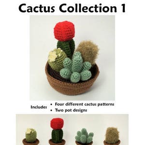 Cactus Collections, eight realistic potted plant CROCHET PATTERNS digital PDF file download image 9