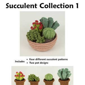 Succulent Collections 1 and 2, eight realistic potted plant CROCHET PATTERNS digital PDF file download image 9