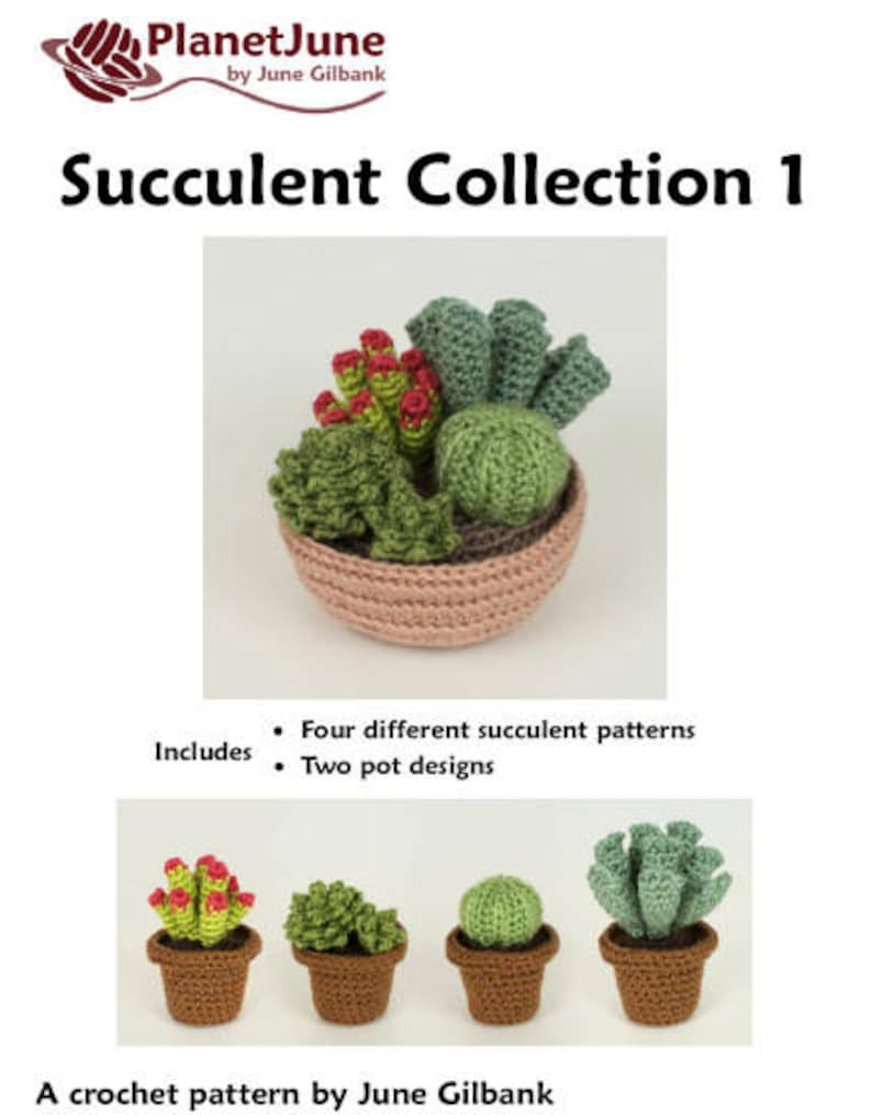 Succulent Collections 1 and 2, eight realistic potted plant CROCHET PATTERNS digital PDF file download image 9