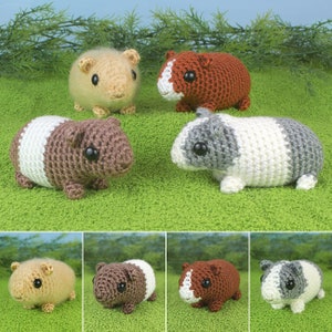 May include: Four crocheted guinea pig plushies in different colors. The plushies are brown, tan, gray, and red. They are all sitting on a green grassy surface.