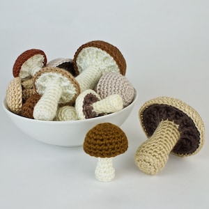 Mushroom Collection: six realistic CROCHET PATTERNS digital PDF file download