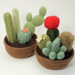 Cactus Collections, eight realistic potted plant CROCHET PATTERNS digital PDF file download image 1