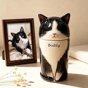 Pode incluir: Um recipiente de cerâmica em forma de gato preto e branco com uma tampa que apresenta um rosto de gato. O recipiente tem uma área de peito branca e o nome Buddy impresso em preto na frente. Ao lado, há uma moldura de madeira castanha com foto.