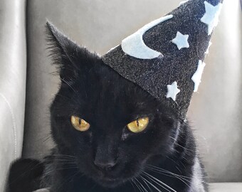 Wizard Hat for Cats