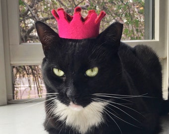Royal kitty crown