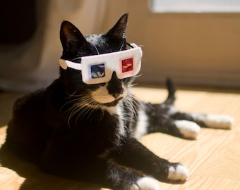 3-D Glasses for Cats!