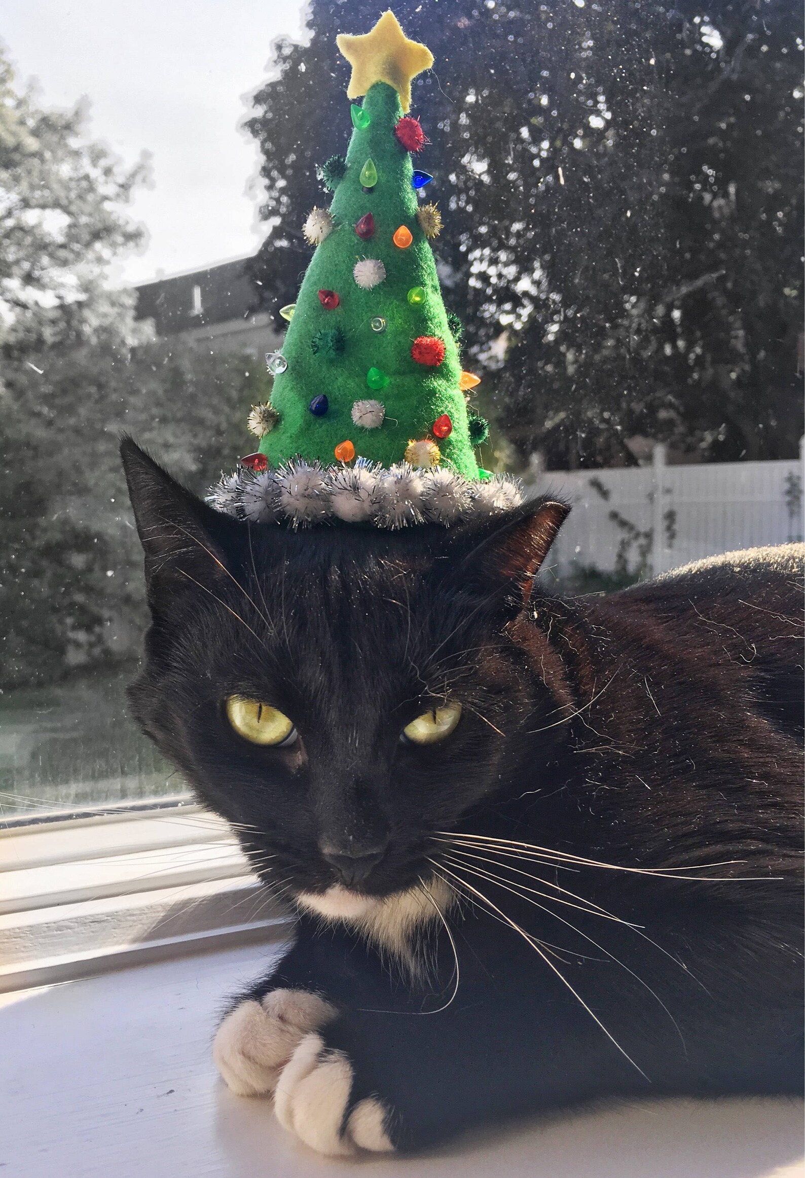 Christmas Tree Cat Hat - Etsy