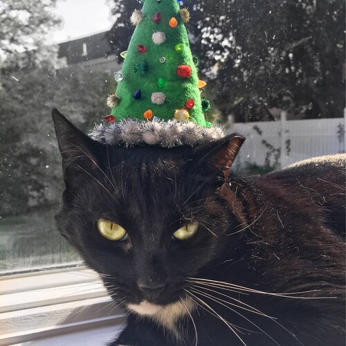 Christmas Tree Cat Hat Etsy