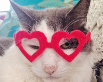 Heart-Shaped Glasses for Cats ; My Kitty Valentine cat glasses