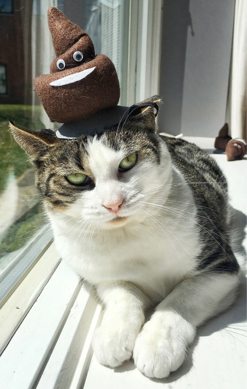 Poop Emoji Cat Hat Poop Emoji Costume for Cats Etsy Canada