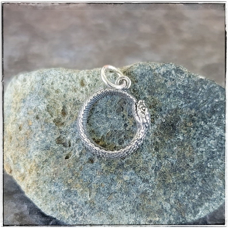 Tiny Detailed Ouroboros Snake Necklace or Charm Antiqued Sterling Silver, Very Small Snake Charm Ouroboros Necklace image 1