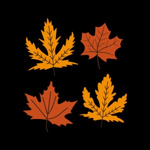 Puede incluir: Cuatro hojas de otoño en varios tonos de naranja y rojo. Las hojas están aisladas sobre un fondo negro.