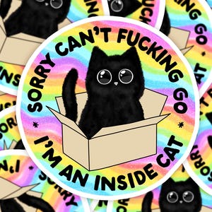 Je suis un autocollant de chat à l&#39;intérieur, chat noir anxiété anxieux feu de benne à ordures, autocollant sarcastique, autocollant chat, autocollant amoureux des chats, je ne peux pas y aller,