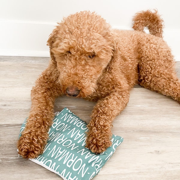 La borsa ICKY - PETUNIAS di Kelly - personalizzata - forniture per animali domestici