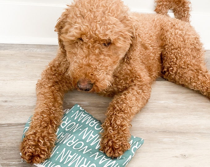Personalized Wet Bag for Pets - Waterproof Zipper Pouch for Leashes, Treats and Toys - Custom Reusable Storage for Dog & Cat Essentials