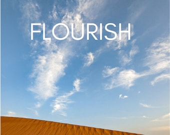 Flourish: A Guide to Mental Health and Personal Development