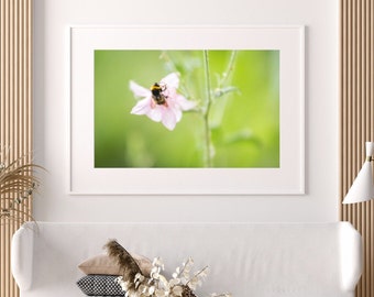 Bee Pink - Wall Art - Nature Photography Print