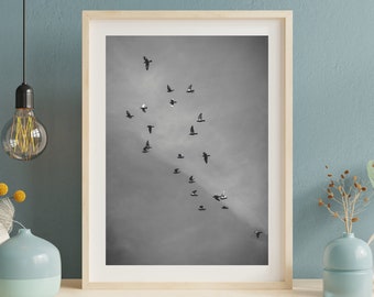 21 Homing Pigeons - Wall Art - Nature Photography Print - Black and White