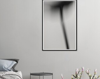 Studie van planten nr. 3 - Hoge kwaliteit kunstfotografie zwart-wit print op mat fine art papier - prachtige cadeaukunst en huisontwerp