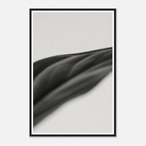 Study of Plants No. 4 Hochwertiger Kunstfotografie schwarzweiß Druck auf mattem Fine Art Papier schönes Geschenk Kunst & Wohndesign Bild 2