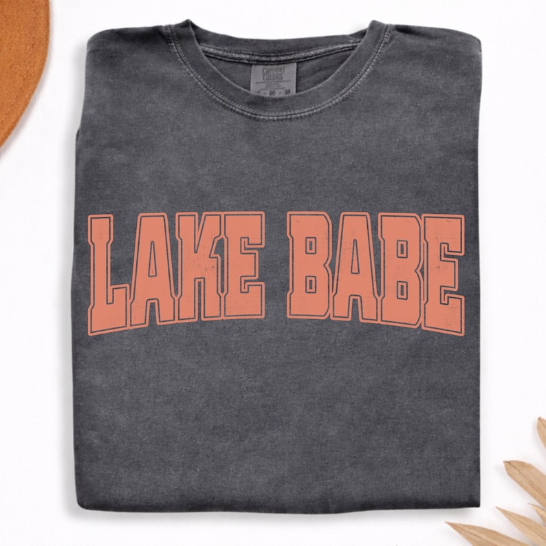 May include: A charcoal grey short-sleeve t-shirt with a crew neckline. The shirt features the text LAKE BABE printed in a large, arched, coral-colored block font across the chest. The fabric has a washed, vintage-style appearance.
