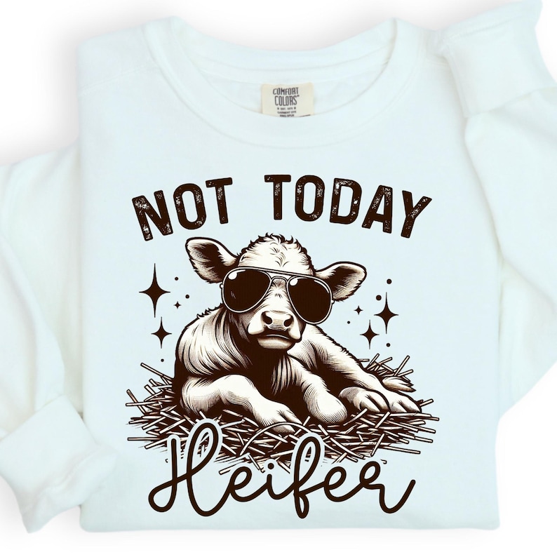 May include: A white long-sleeved shirt featuring a graphic of a calf wearing sunglasses while lying in hay. The text "NOT TODAY" appears above the calf, and the word "Heifer" is written in a cursive script below. The design is in dark brown ink.
