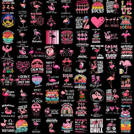 Funny Flamingo Png Bundle, Animal Lover, Flamingo Quotes, Funny Png, Flamingo Shirt, Flamingo Cliparts, Digital Bundle, Commercial use