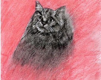 Pussycat, art, collectibles, popart, decoration, painting,kids art, sketches, charcoal painting.