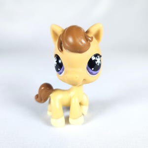 O Pequeno Cavalo da Petshop #684