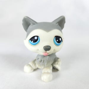 Cachorro Husky Menor Petshop # 70