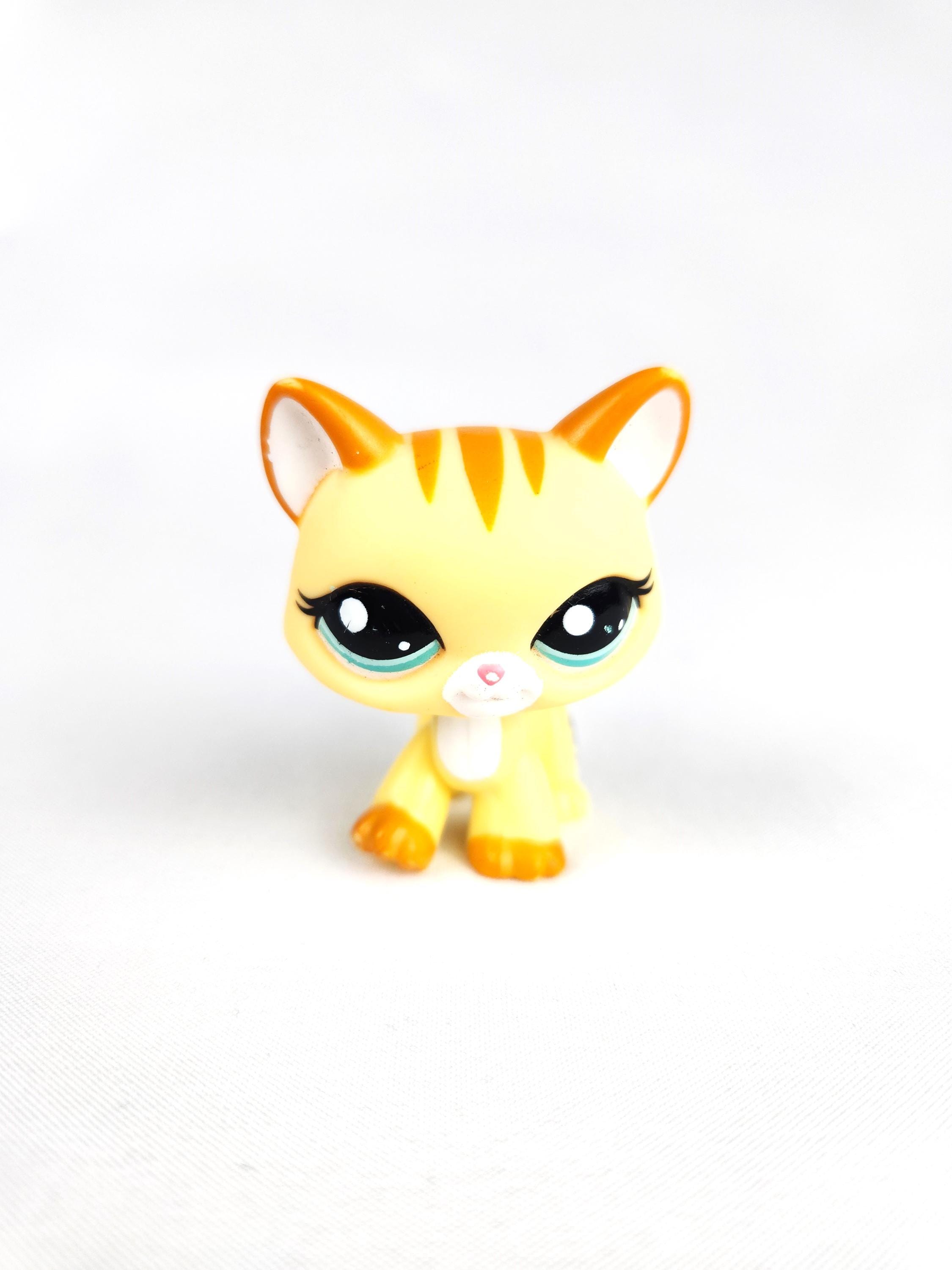 Create a Littlest Pet Shop Maine Coon List Tier List
