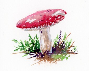 Crab Brittlegill Wild Mushroom miniature watercolour - custom order