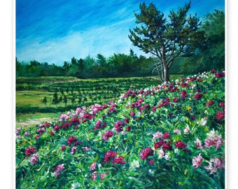 Peonies at Andrews Farm - DIGITAL DOWNLOAD of original painting by Heather Castles