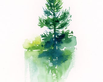 The Park - Conifer No.22 Original watercolour, framed