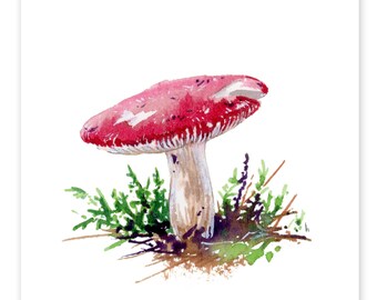 Wild Ontario Mushrooms : Crab Brittlegill - DIGITAL DOWNLOAD of watercolour paintings by Heather Castles
