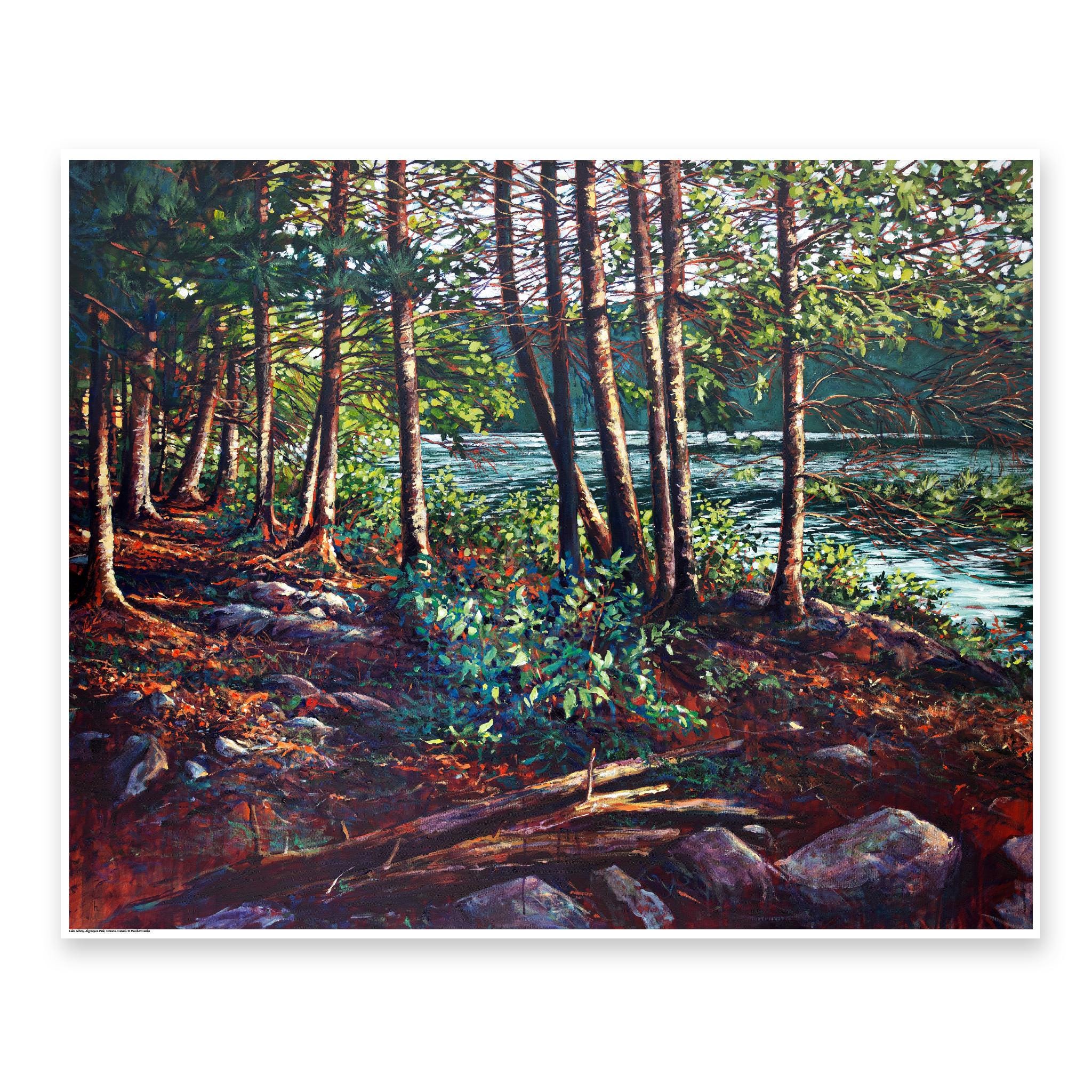 August Afternoon by Lake Achray, Algonquin Park - DIGITAL DOWNLOAD