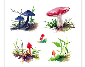 A Shortcut To Wild Ontario Mushrooms - DIGITAL DOWNLOAD bundle of watercolour paintings by Heather Castles