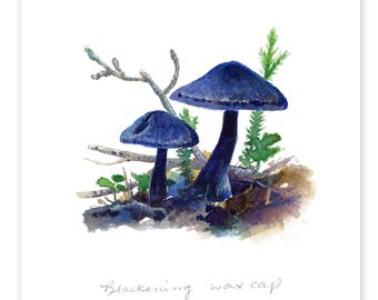 Wild Ontario Mushrooms : Blackening Waxcap Mature - DIGITAL DOWNLOAD of watercolour paintings by Heather Castles