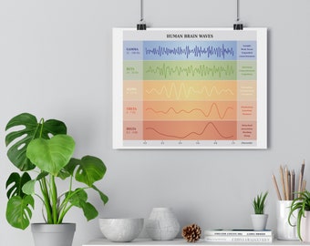 Diagramme des Ondes Cérébrales Humaines - Couleurs de l'arc-en-ciel - Illustration pour les besoins de Coaching / Conseil / Thérapie