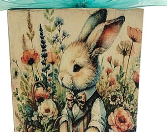 Peter Rabbit Chunky Shelf Sitter