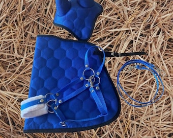 May include: A set of blue equestrian equipment, including a headstall, saddle pad, and reins, with a quilted hexagonal pattern. The set is made of blue fabric with silver-colored metal hardware and white accents. The items are arranged on a bed of straw.