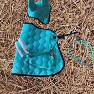 May include: A turquoise equestrian set, including a quilted saddle pad, halter, ear bonnet, and lead rope. The set features black trim and silver-colored hardware, all arranged on a bed of straw.