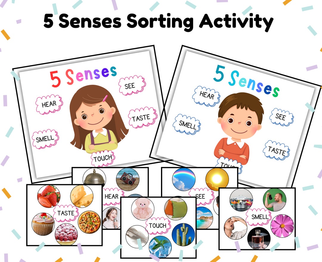 Five Senses Sorting Activity Printable, 5 Senses Sorting, Home School ...