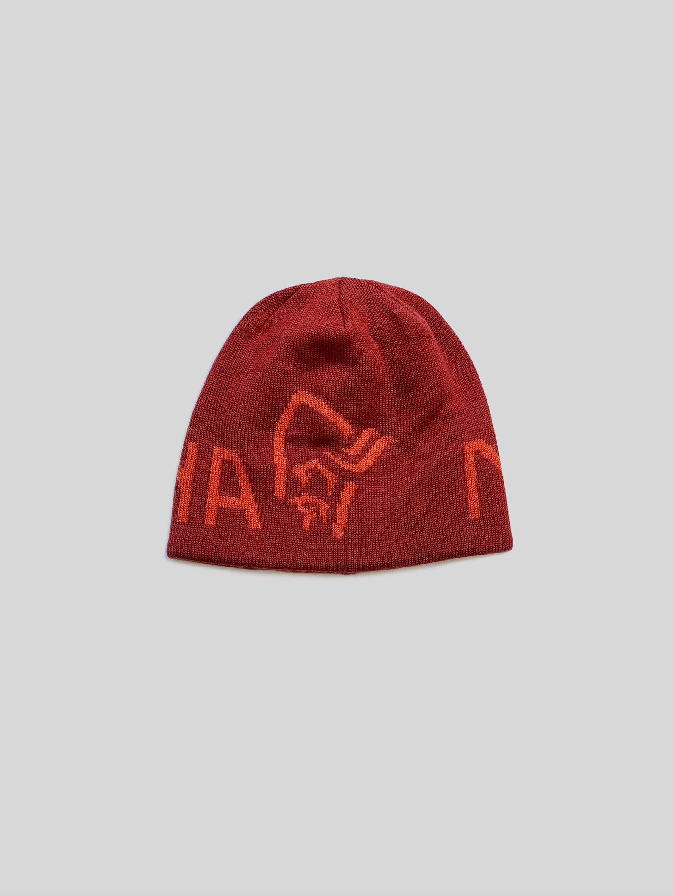 ARC'TERYX 恐竜グラフィック ニット帽 在庫1点 | APPS-BICENTENARIO