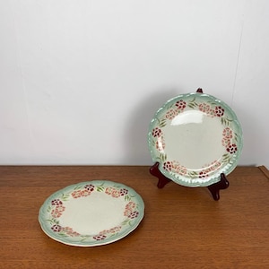 Antique plates from Choisy le Roi, 19th century, floral ironstone, set of 2 flat plates, vintage French earthenware, green and red, floral decoration