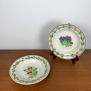 Sarreguemines earthenware soup plates 1875-1900 | Set of 2 hand-painted floral plates | Vintage crockery for country kitchen decor